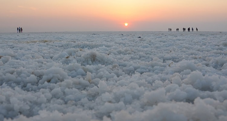 white-rann